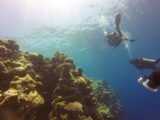 spots de snorkeling