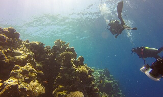 spots de snorkeling