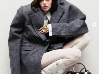 modèle de sac à main en cuir