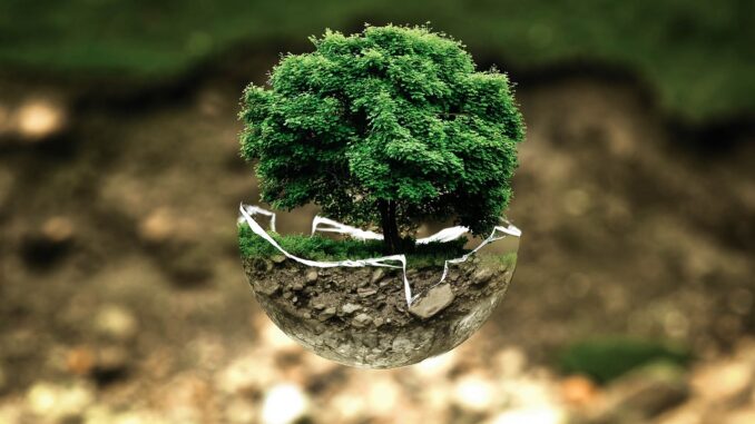 gestes écologiques gestes écologiques