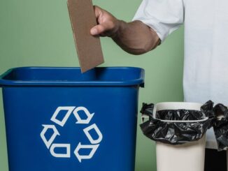 Pratiques environnementales